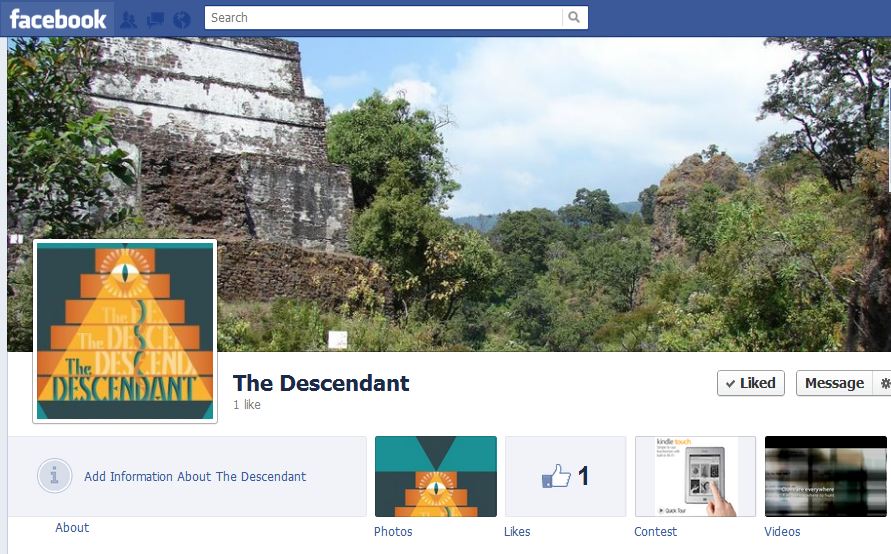 fbpage screenshot May2012